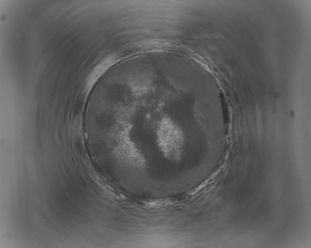 X0000075840099200609221715