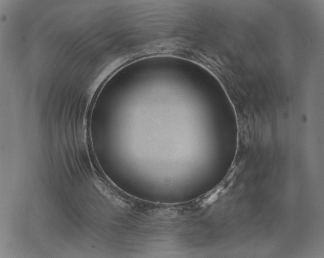 X0000075840100200609221715