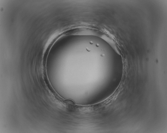 X0000075840102200609221715