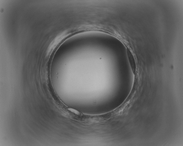 X0000075840103200609221715