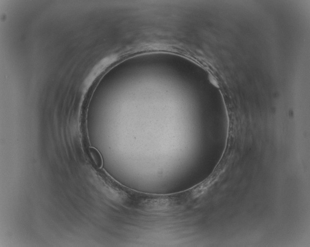 X0000075840104200609221715