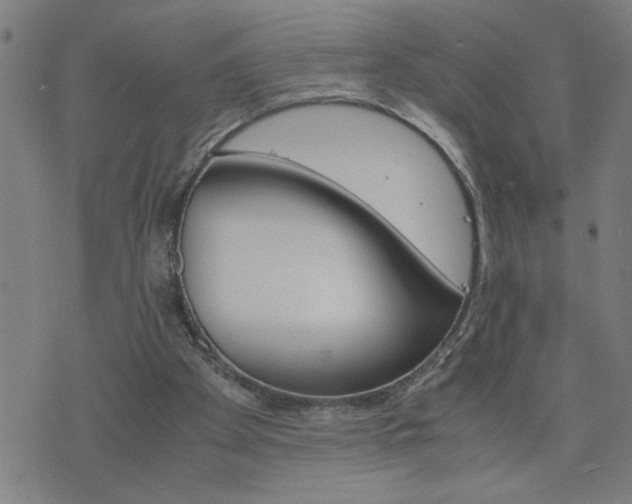 X0000075840105200609221715