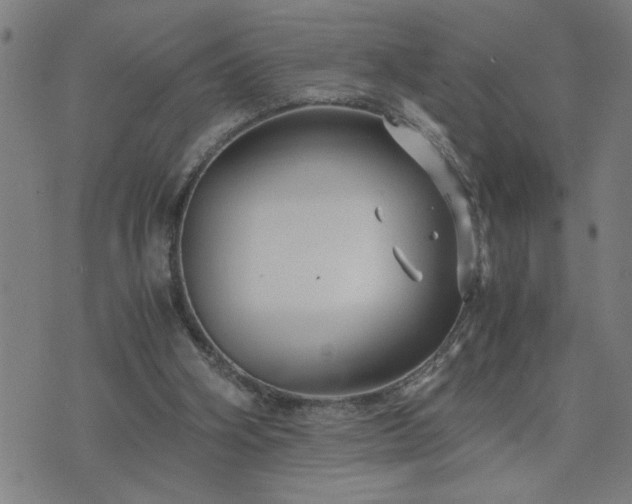 X0000075840106200609221715