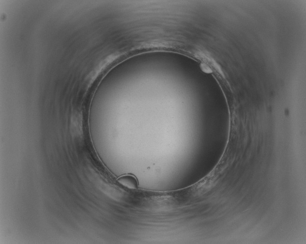 X0000075840108200609221715