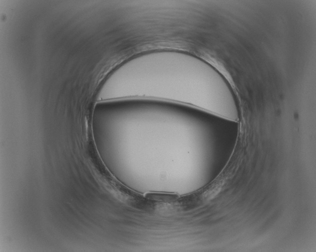 X0000075840109200609221715