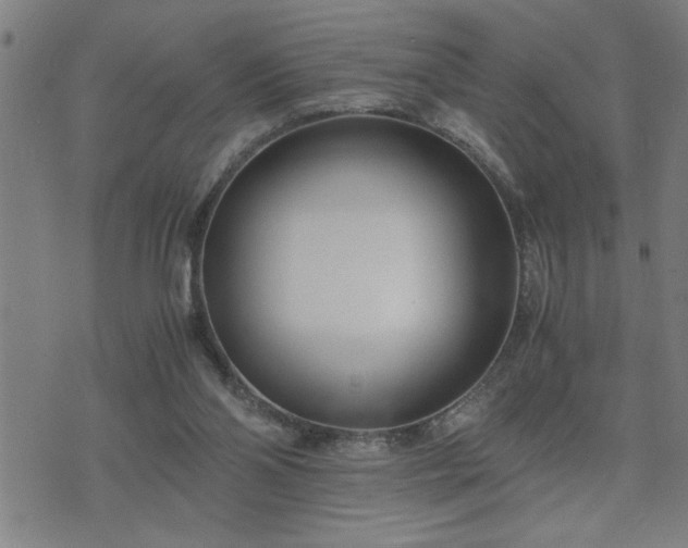 X0000075840110200609221715