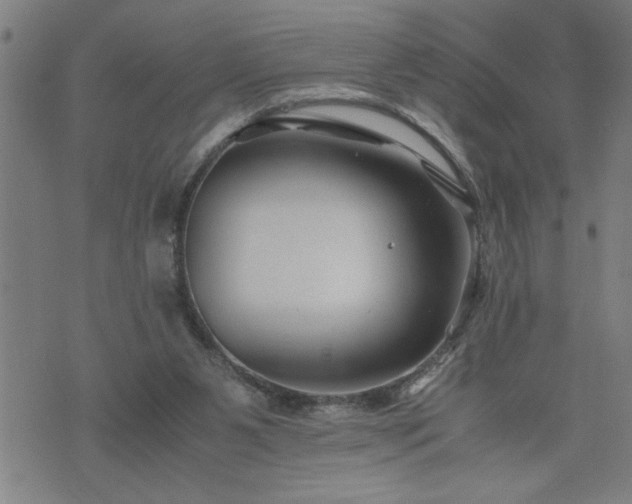 X0000075840111200609221715