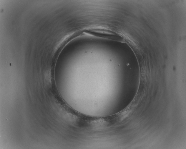 X0000075840112200609221715