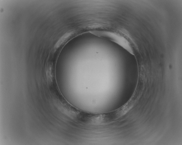 X0000075840116200609221715