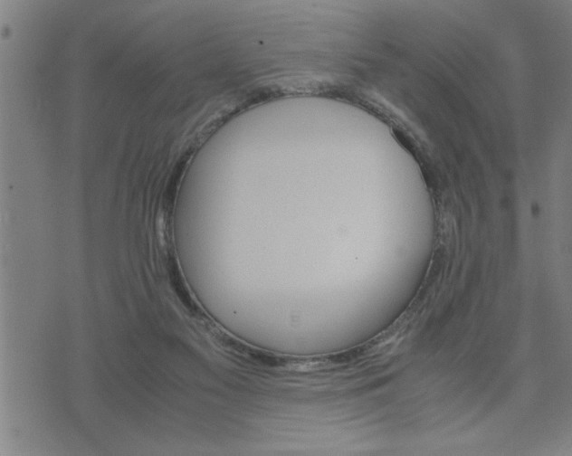 X0000075840117200609221715