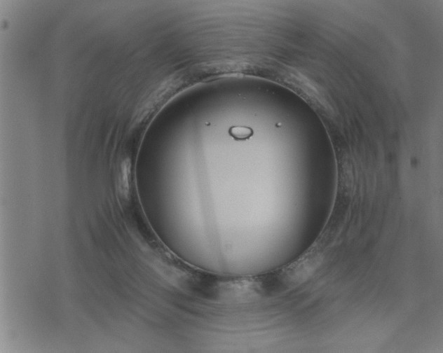 X0000075840118200609221715