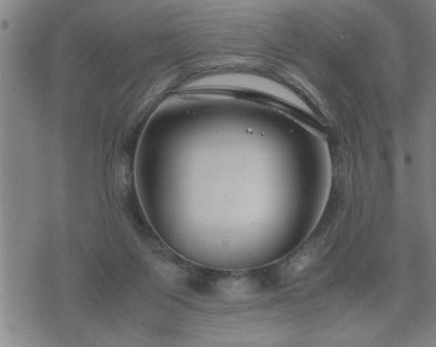 X0000075840119200609221715