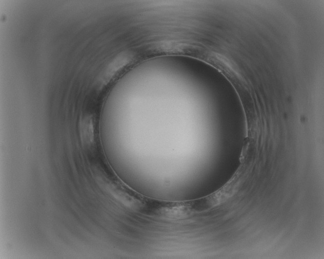 X0000075840120200609221715