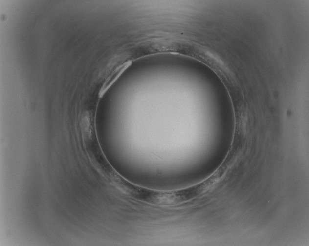 X0000075840121200609221715