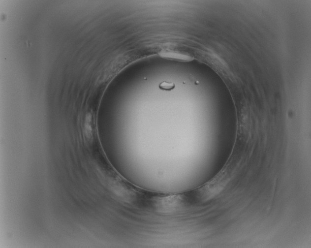 X0000075840122200609221715