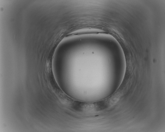 X0000075840123200609221715