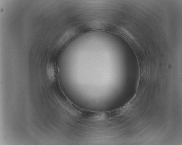 X0000075840124200609221715