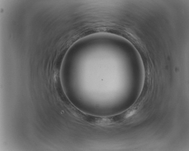 X0000075840125200609221715