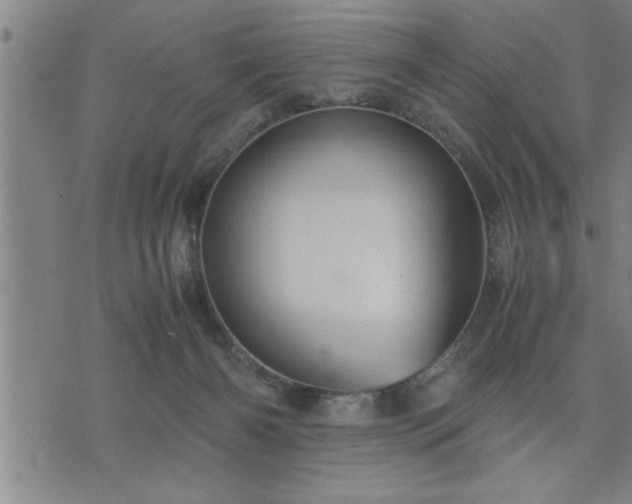 X0000075840126200609221715