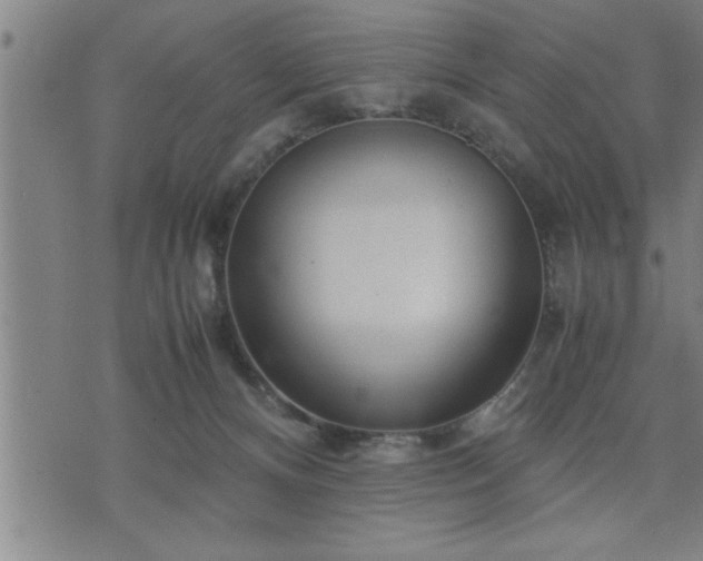 X0000075840128200609221715