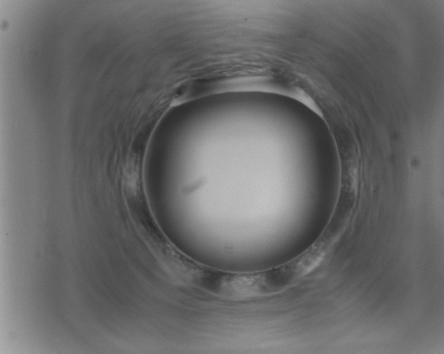 X0000075840129200609221715