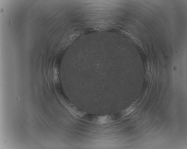 X0000075840130200609221715