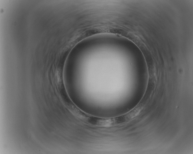 X0000075840131200609221715