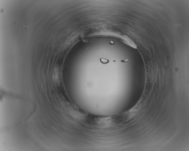 X0000075840132200609221714