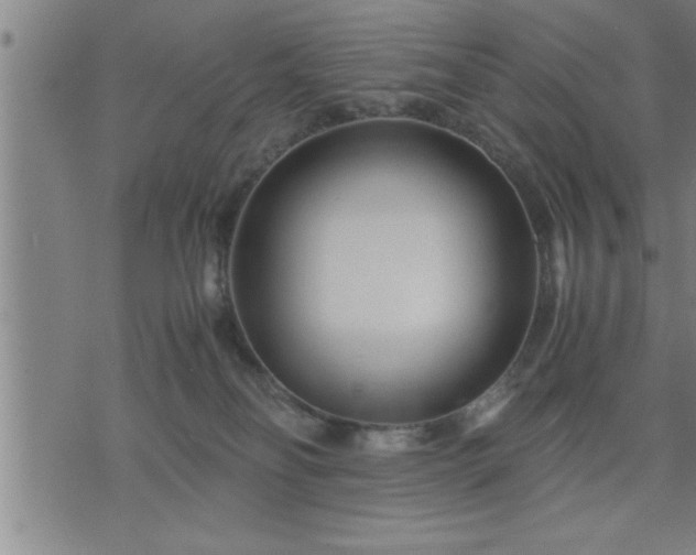 X0000075840134200609221714