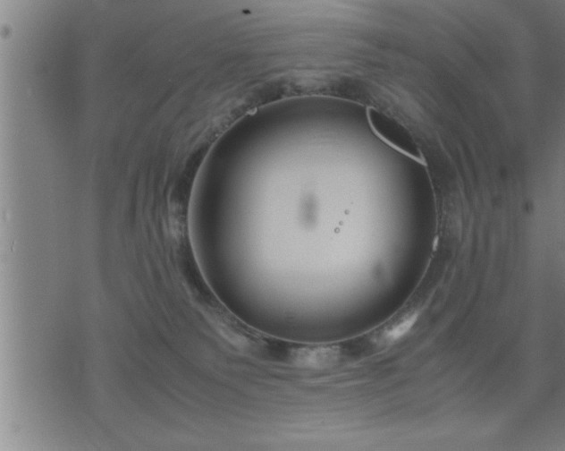 X0000075840135200609221714