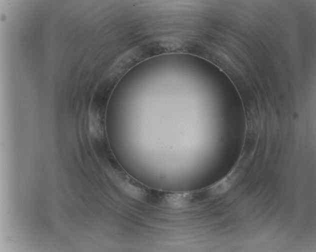 X0000075840136200609221714