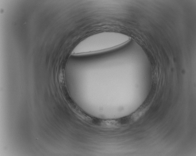 X0000075840137200609221714