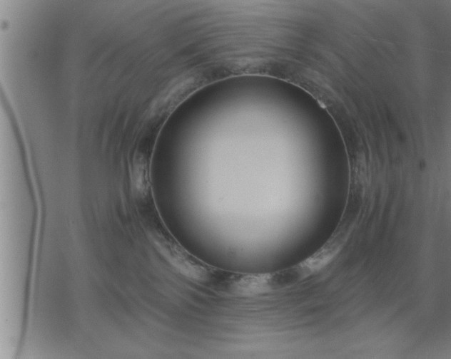 X0000075840138200609221714