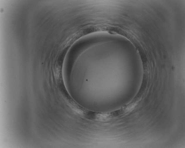 X0000075840139200609221714