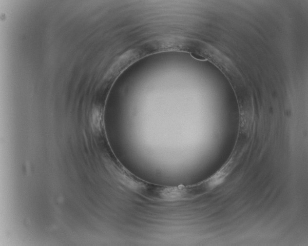 X0000075840142200609221714