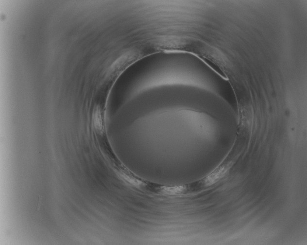 X0000075840143200609221714