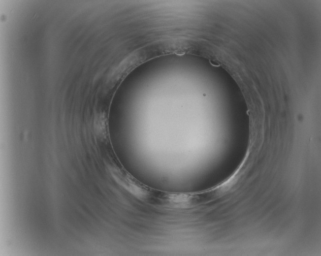 X0000075840144200609221714