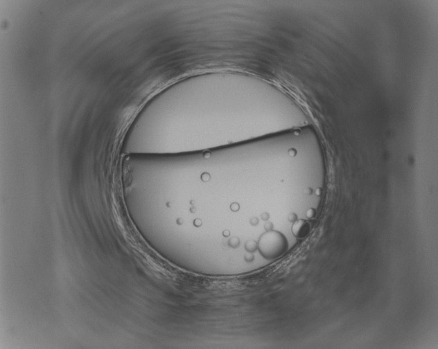 X0000075840145200609221714