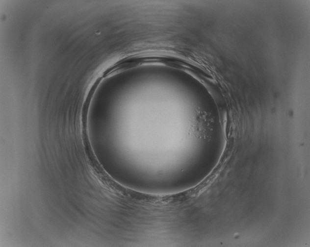 X0000075840148200609221714