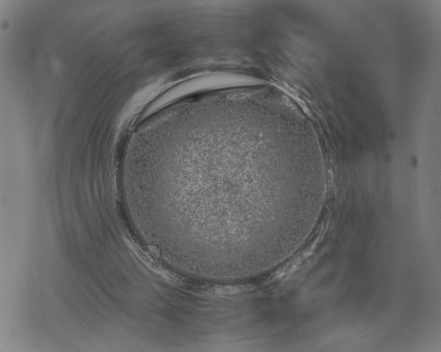 X0000075840149200609221714