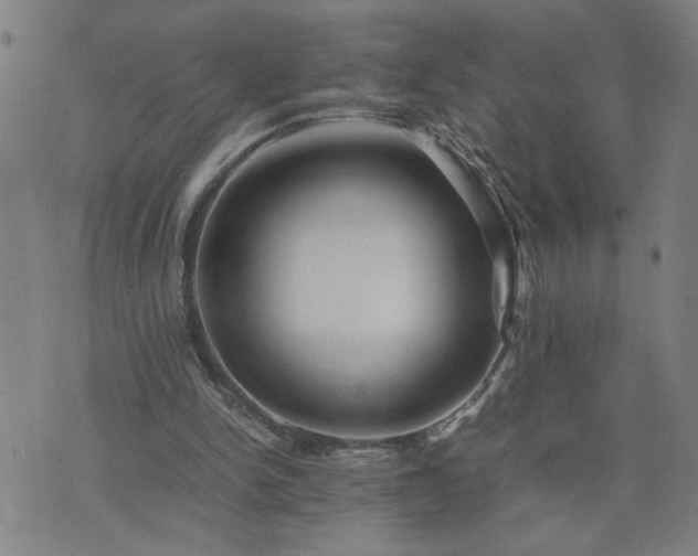 X0000075840150200609221714