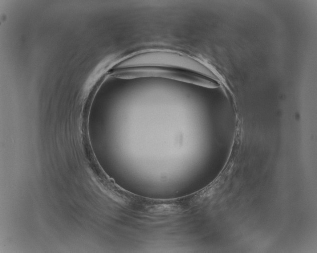 X0000075840151200609221714