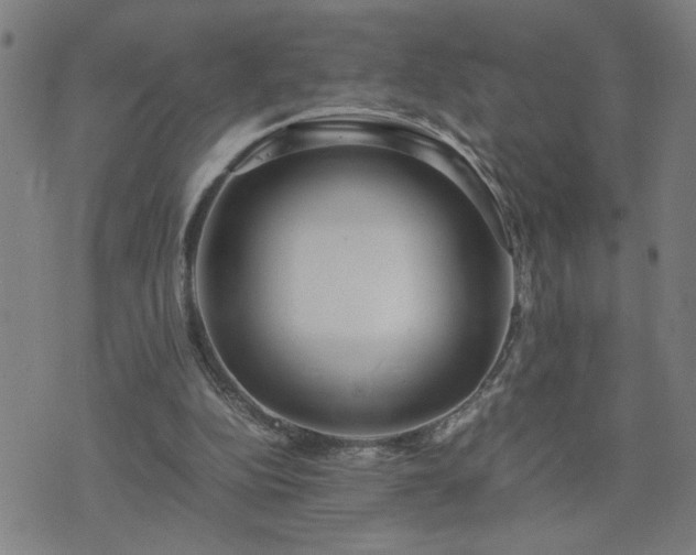 X0000075840152200609221714