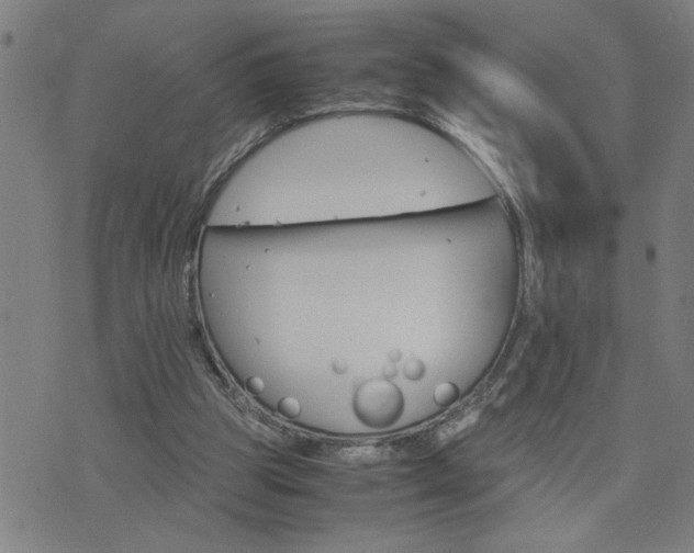 X0000075840153200609221714