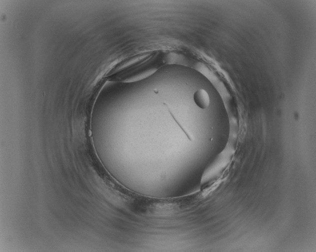 X0000075840154200609221714