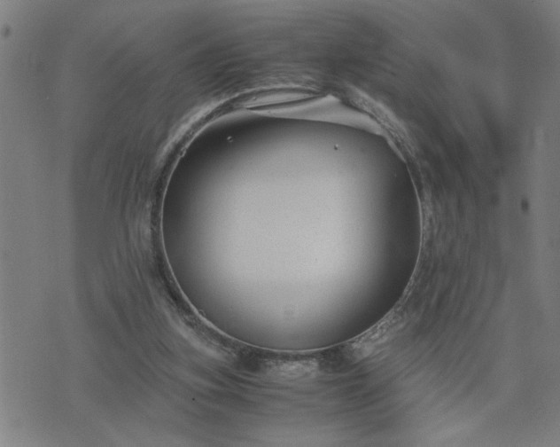 X0000075840155200609221714