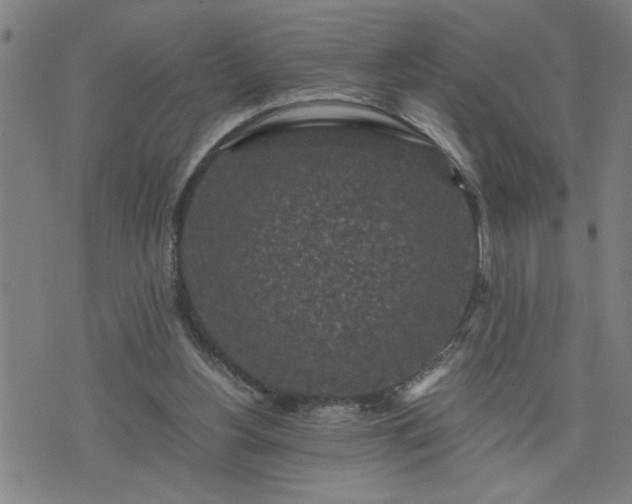 X0000075840156200609221714