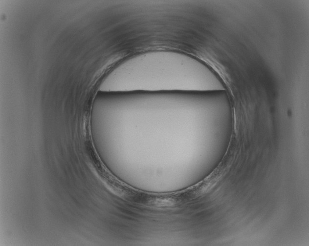 X0000075840157200609221714