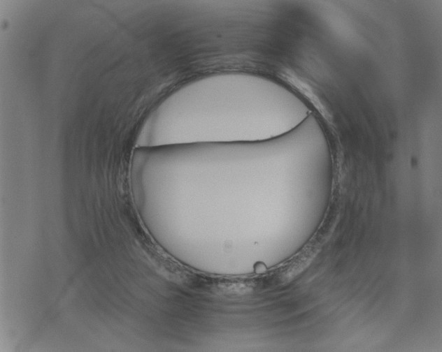 X0000075840161200609221714