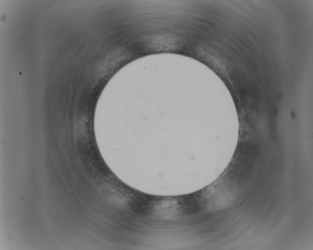 X0000075840162200609221714